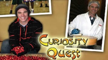Curiosity Quest