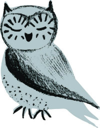 Oona the Suffolk Libraries Wordplay owl mascot