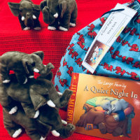 Storysack containing A Quiet Night In and elephant toys