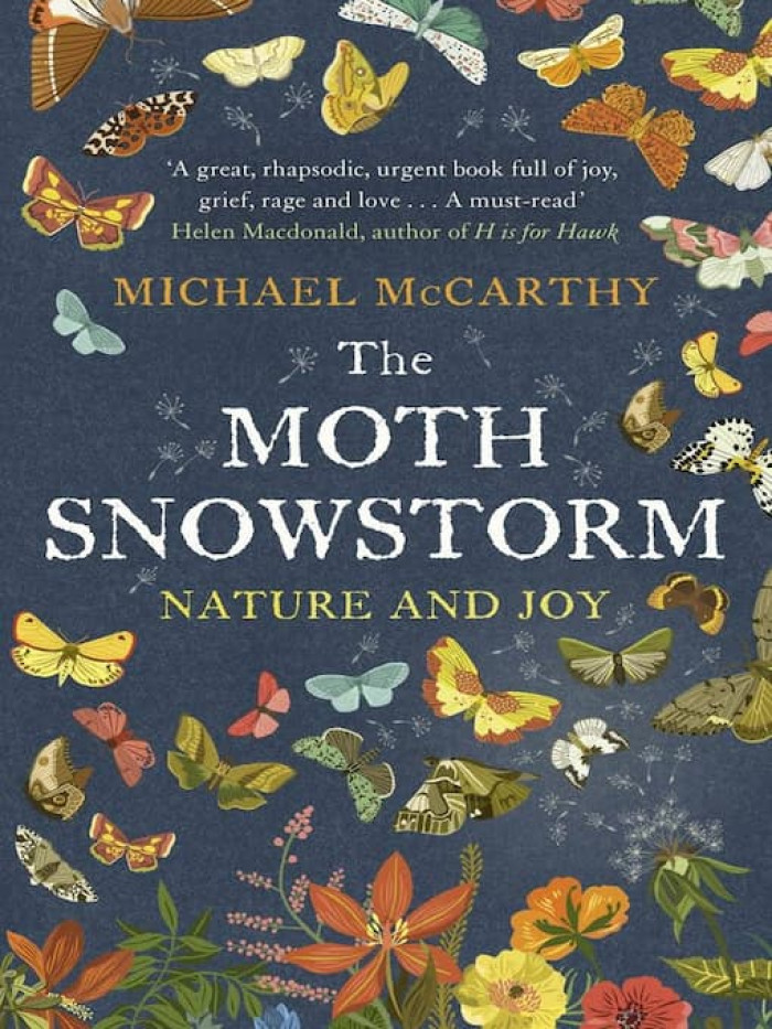 The Moth Snowstorm by Michael McCarthy