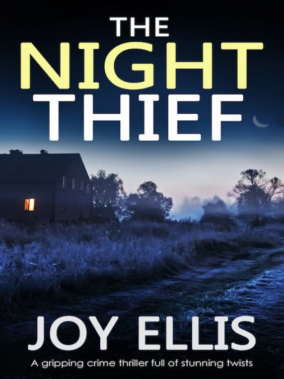 The Night Thief by Joy Ellis